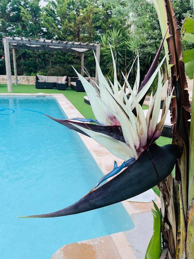 Can Mossenyer San Antonio  Luaran gambar